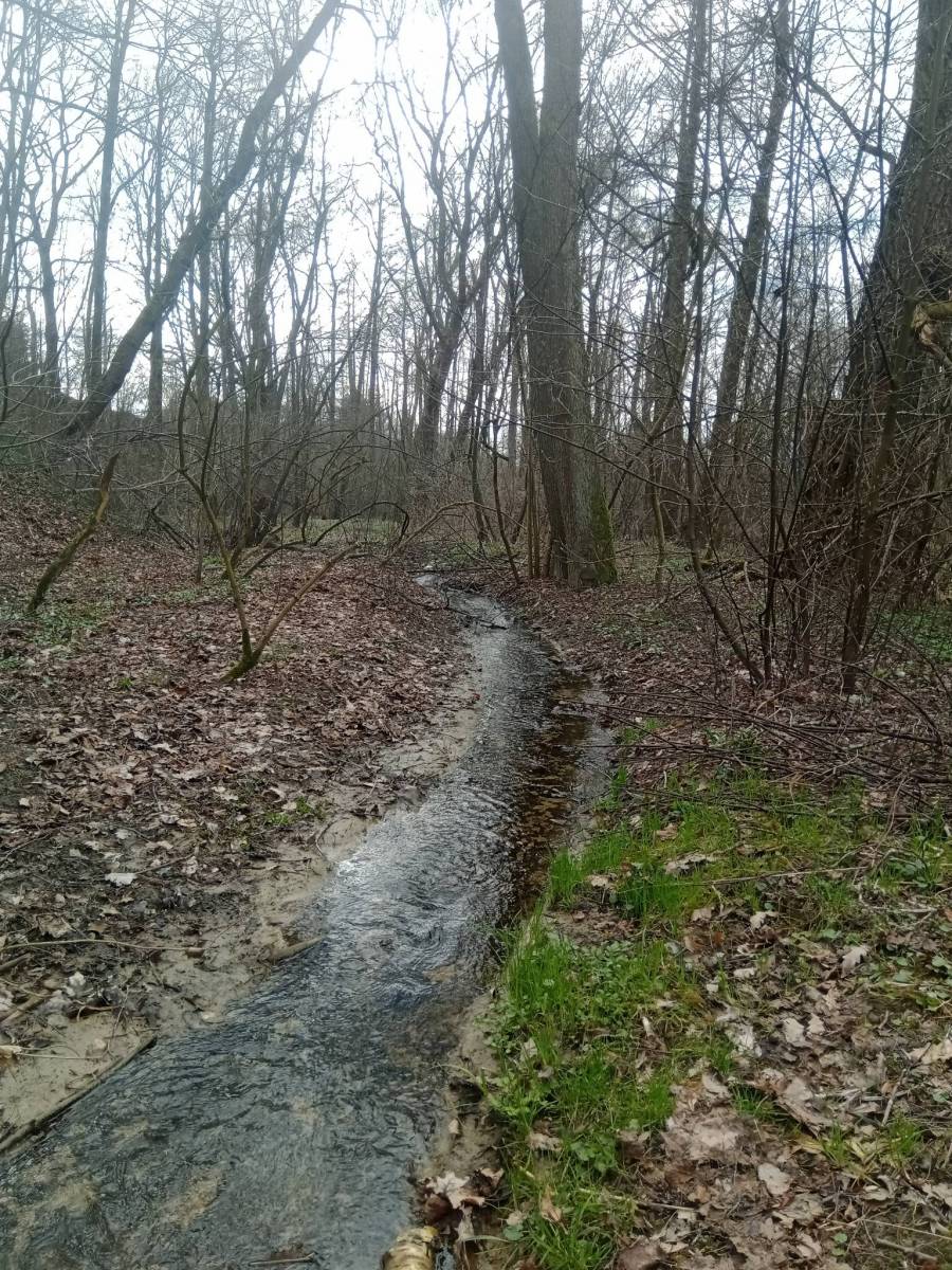 Zdjęcie 6