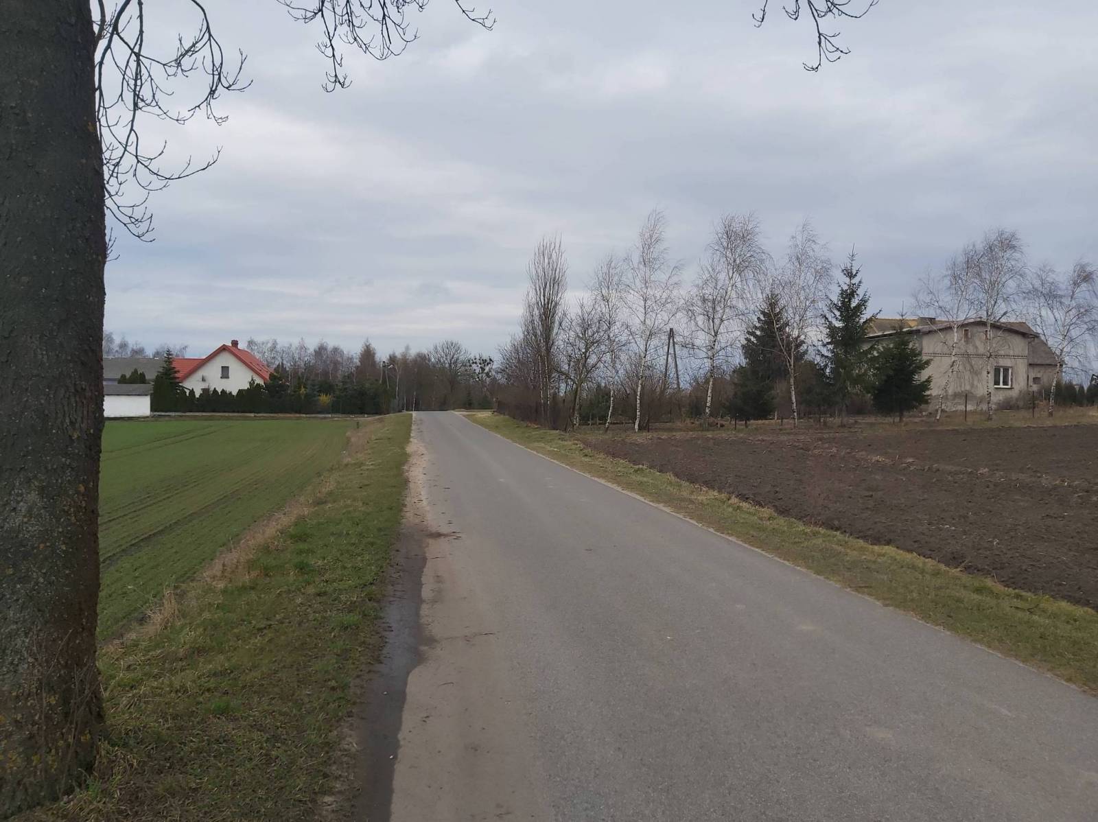 Zdjęcie 4