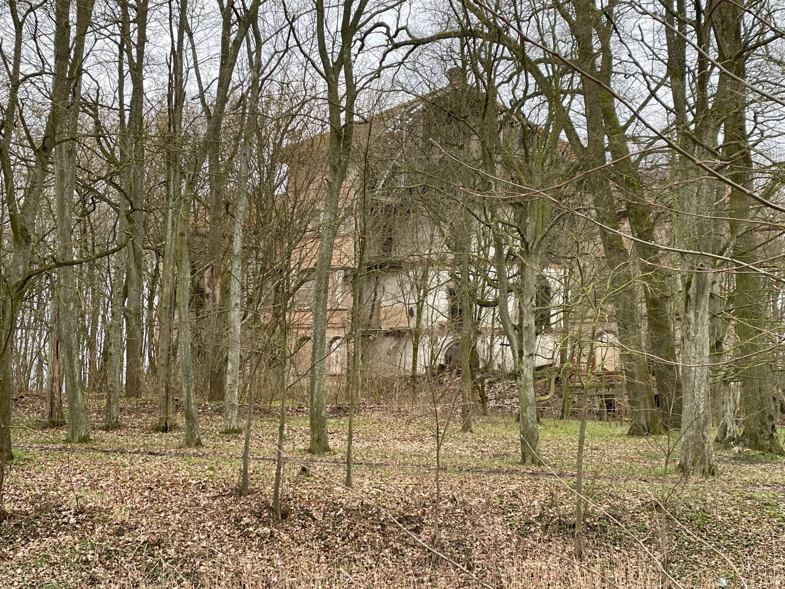 Zdjęcie 3