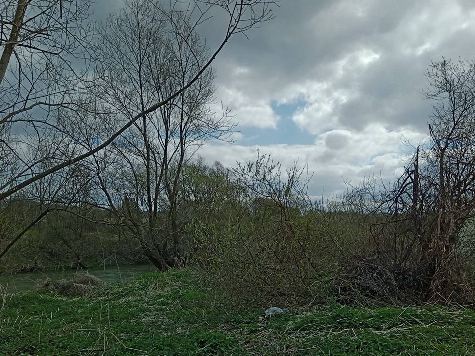 Zdjęcie 5