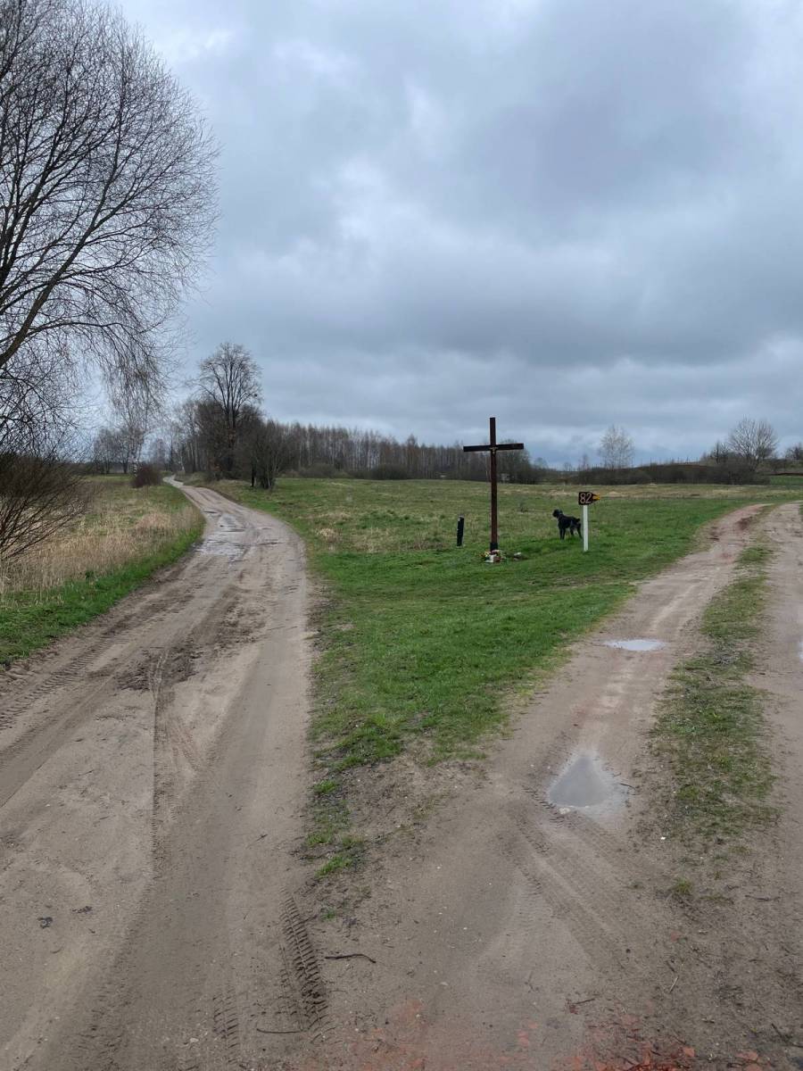 Zdjęcie 6