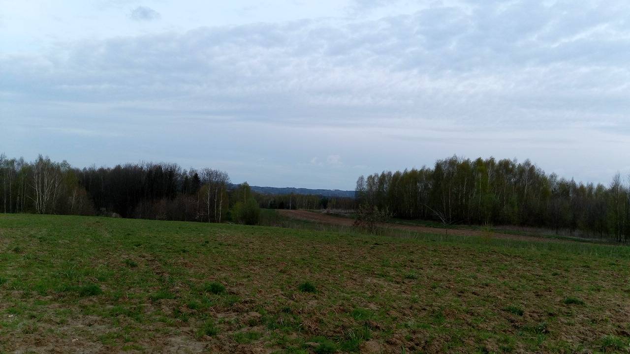 Zdjęcie 3