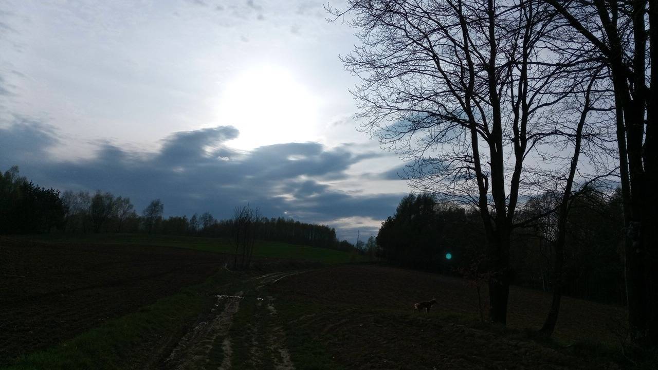 Zdjęcie 4