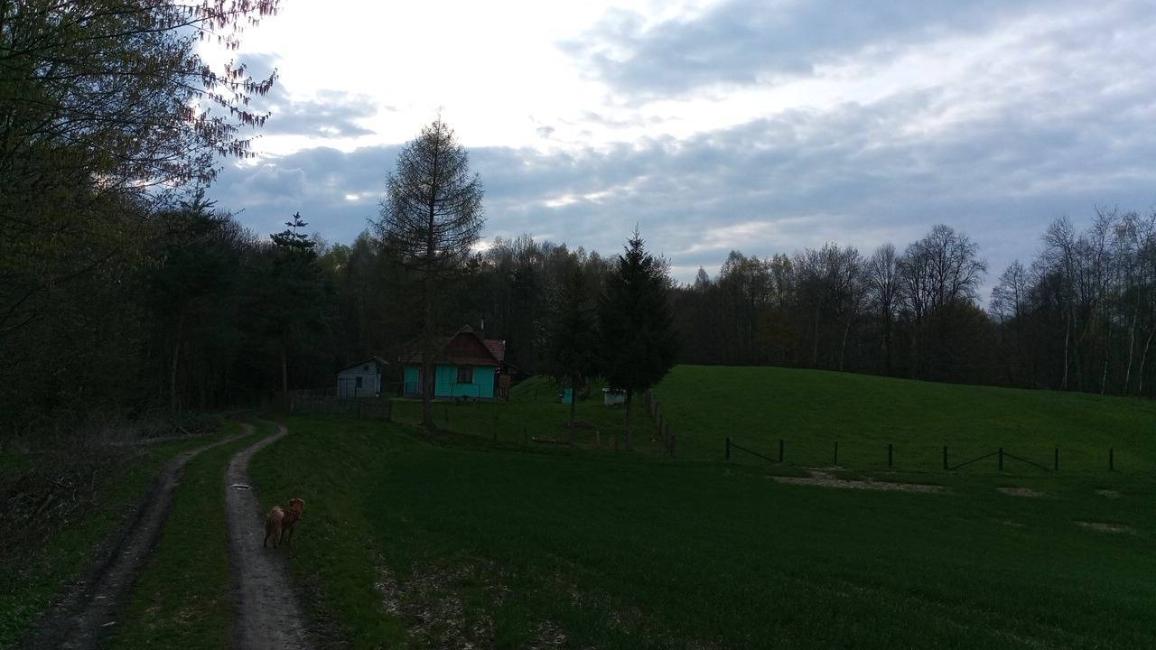Zdjęcie 5