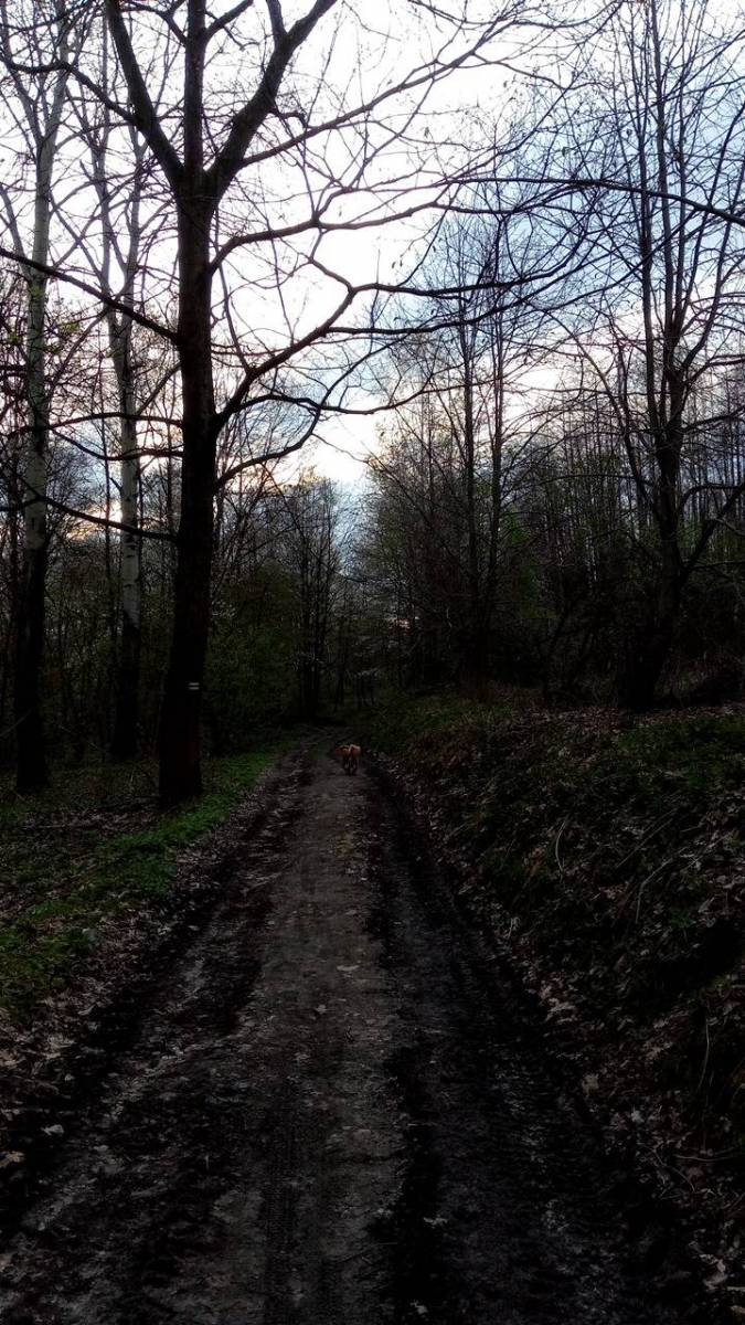 Zdjęcie 6