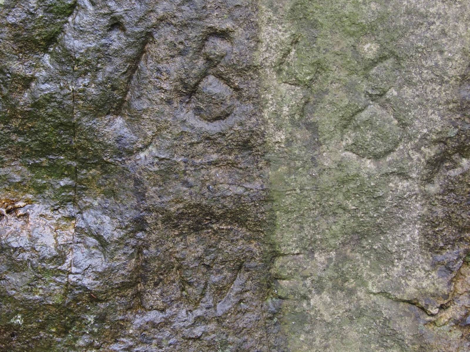 Zdjęcie 5
