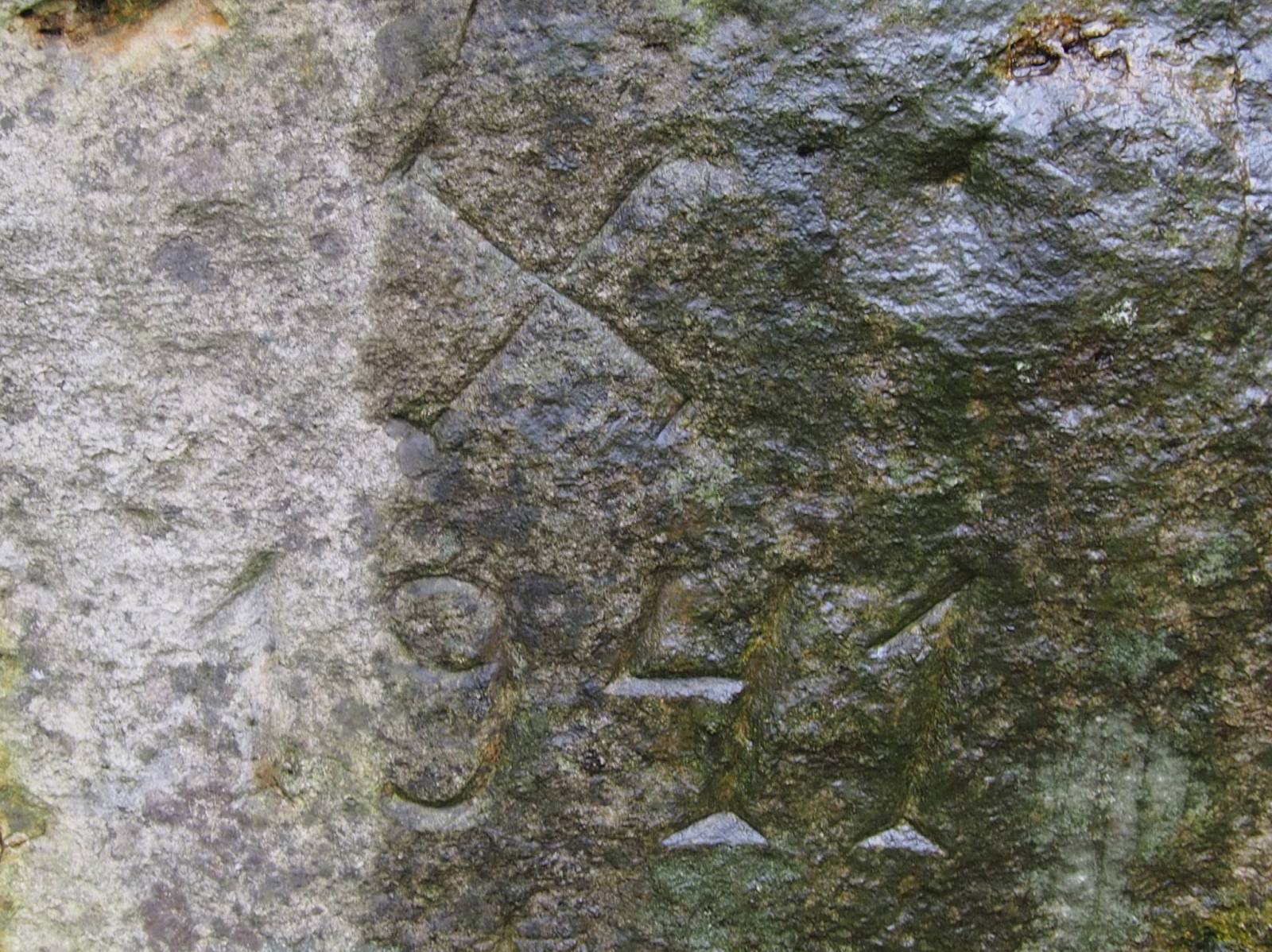 Zdjęcie 6