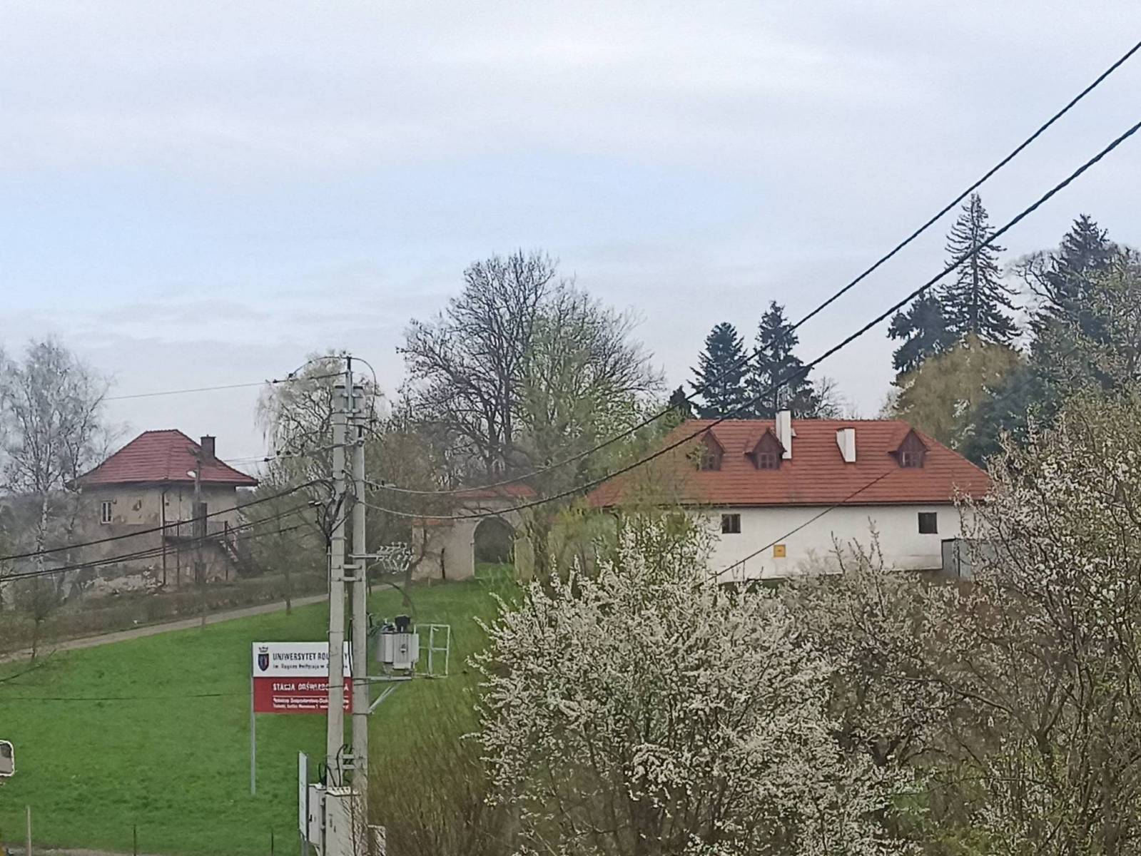 Zdjęcie 2