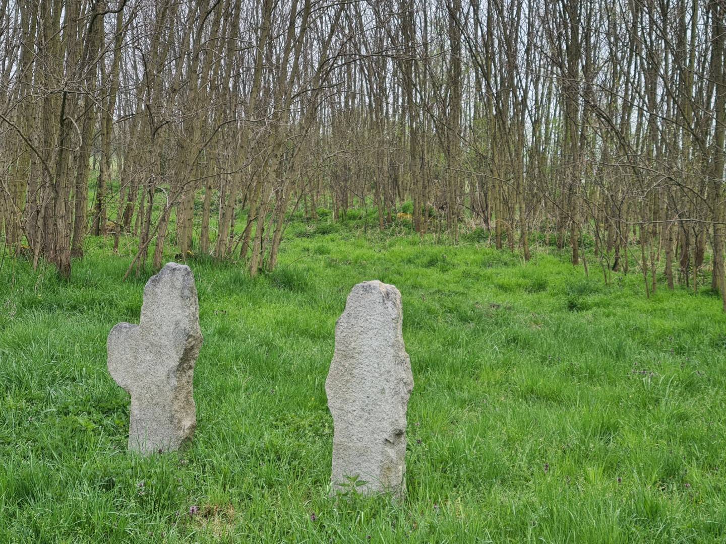 Zdjęcie 3