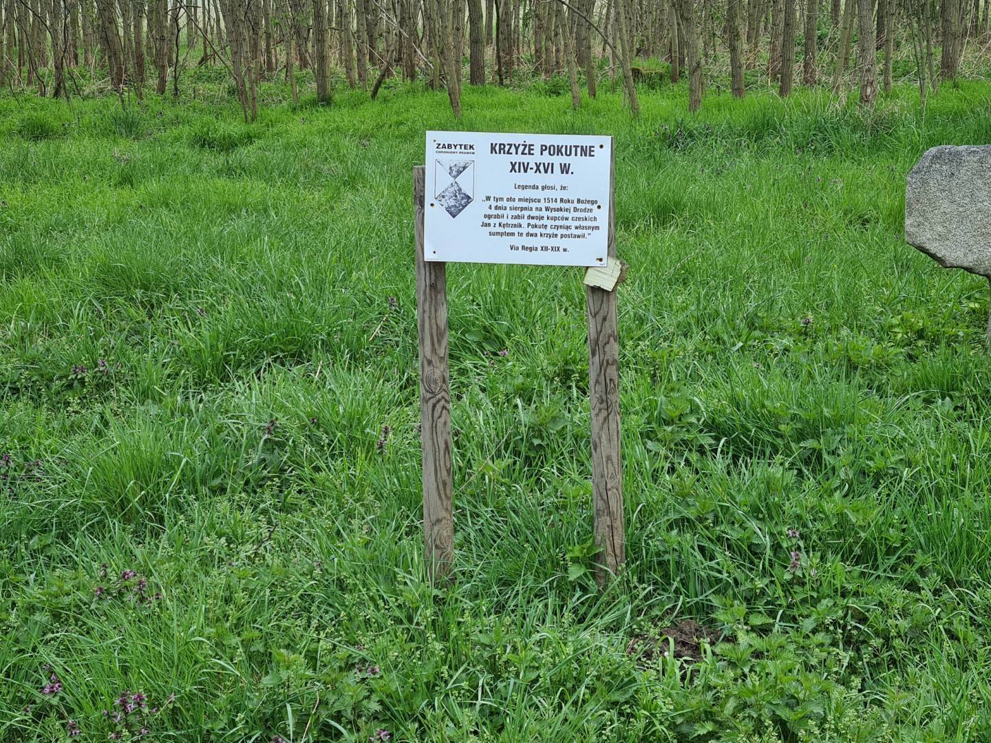 Zdjęcie 6