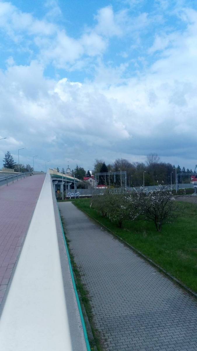 Zdjęcie 4