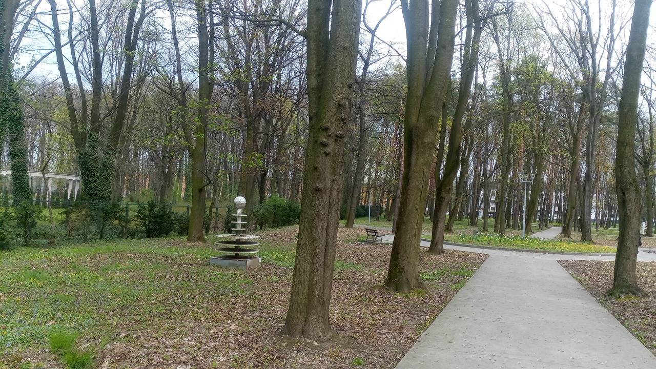 Zdjęcie 5