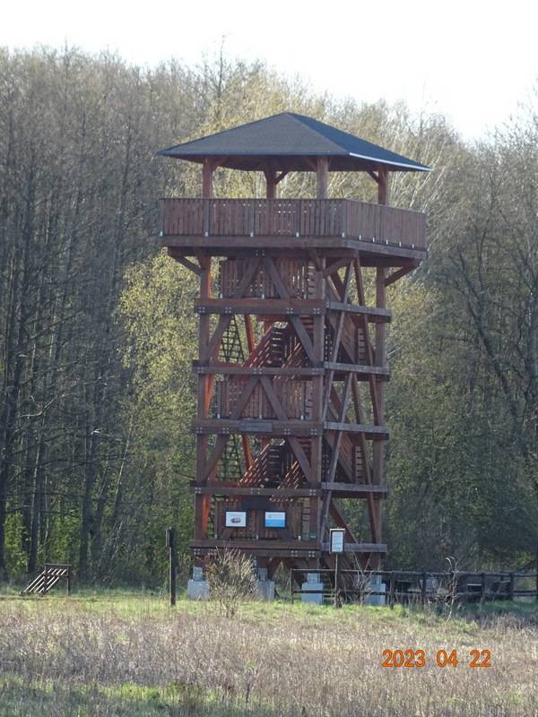 Zdjęcie 2