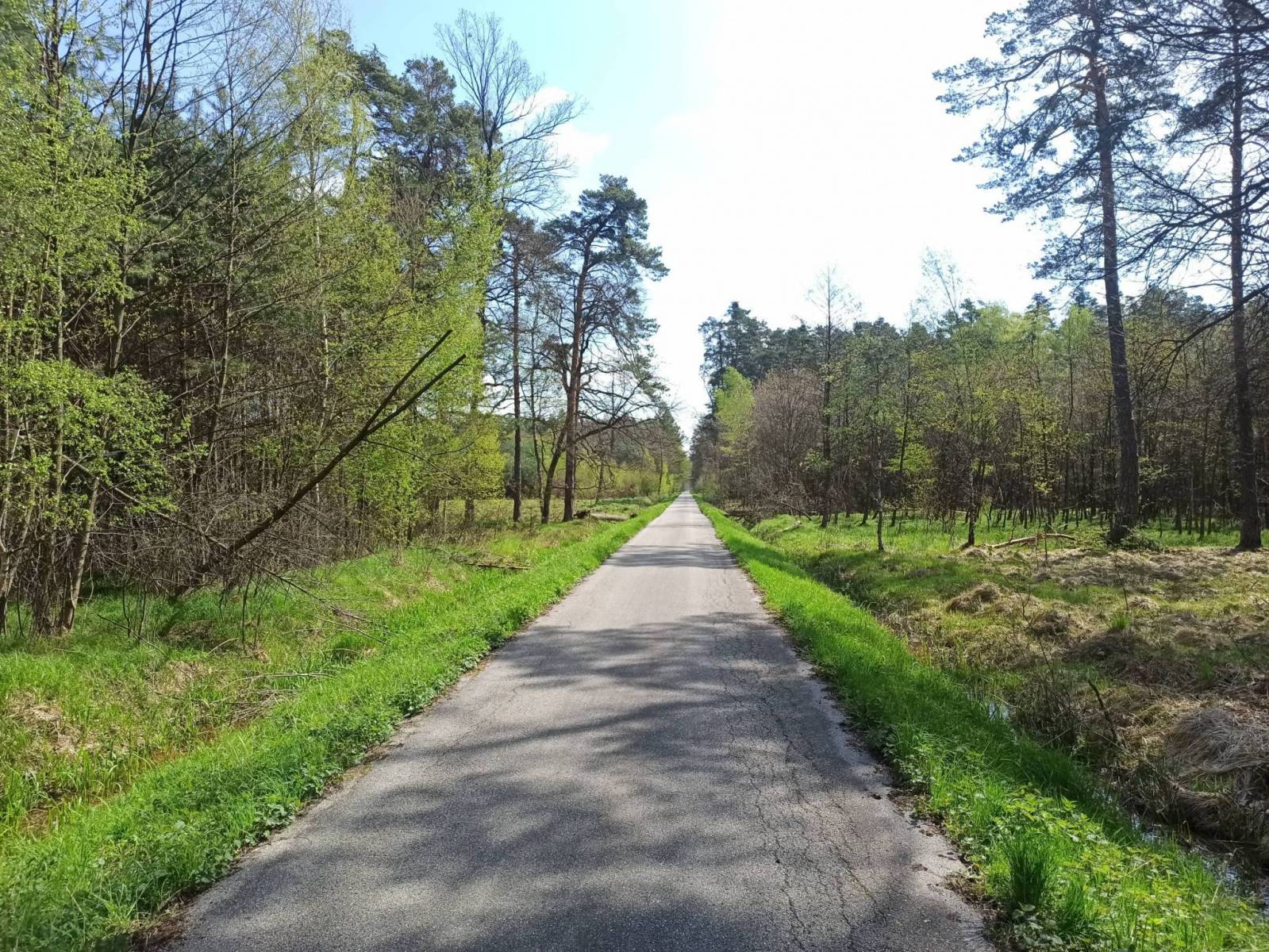 Zdjęcie 6