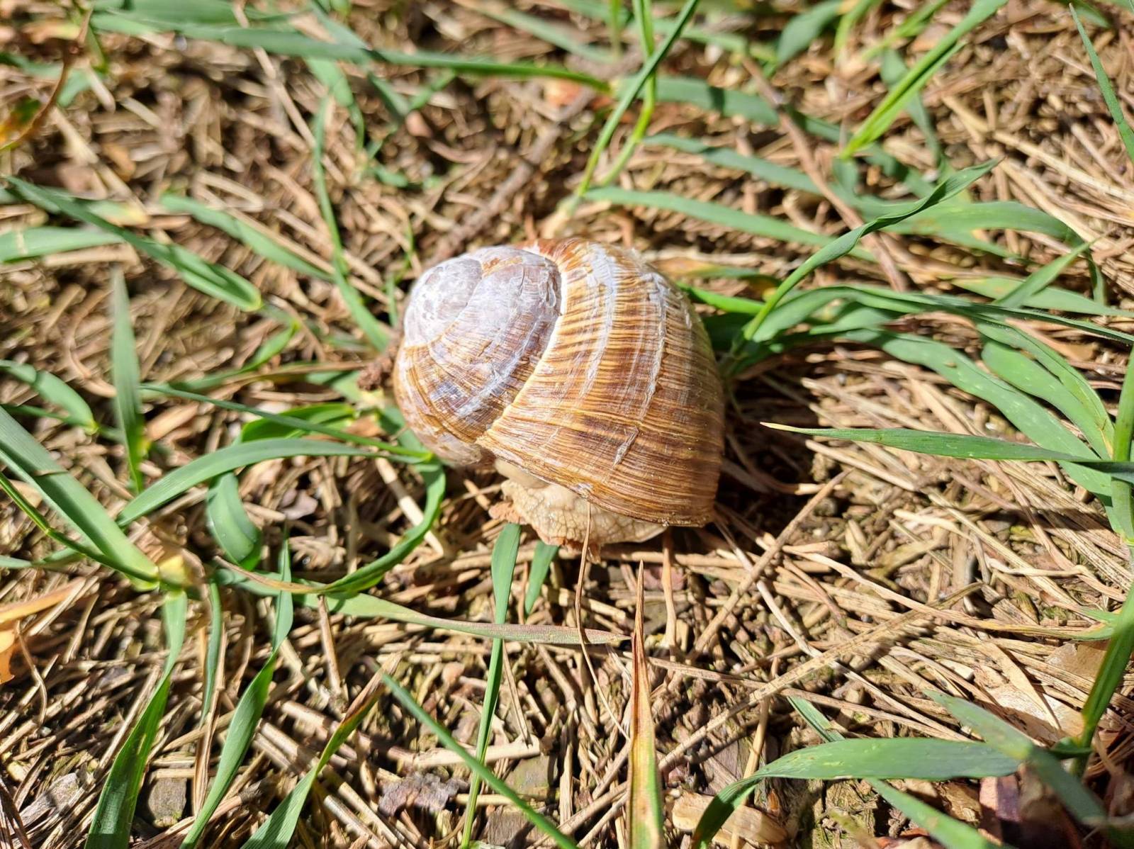 Zdjęcie 3