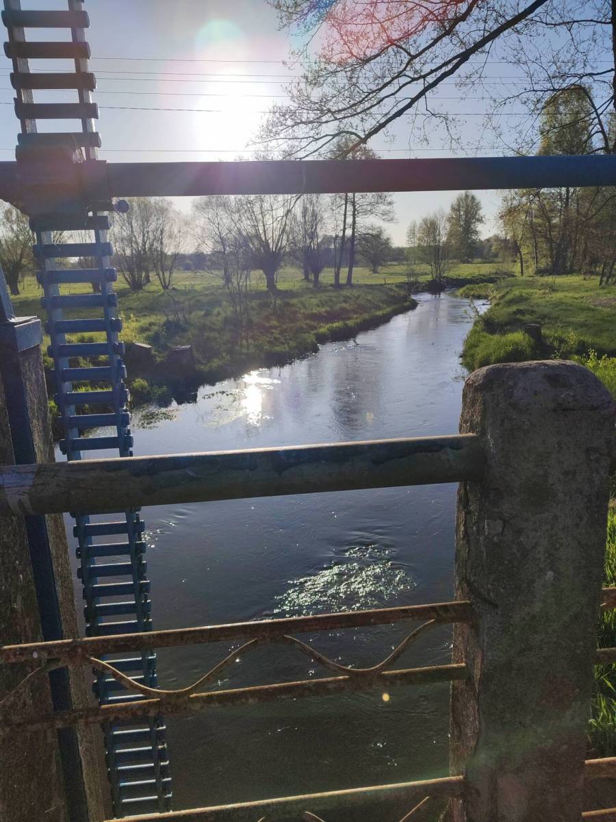 Zdjęcie 6