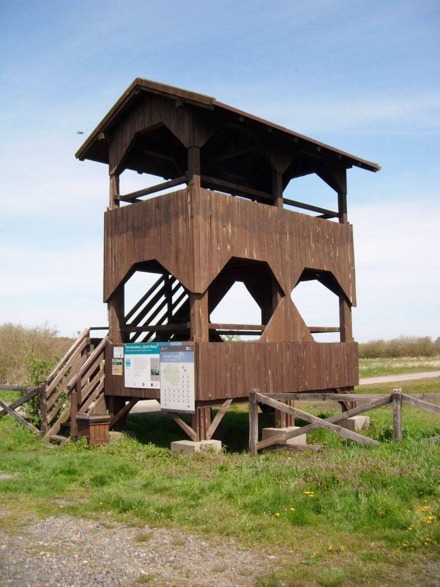 Zdjęcie 6