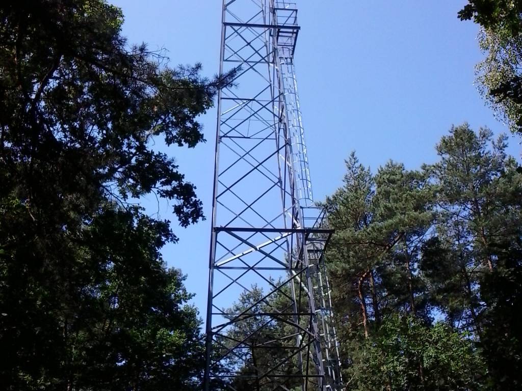 Zdjęcie 6