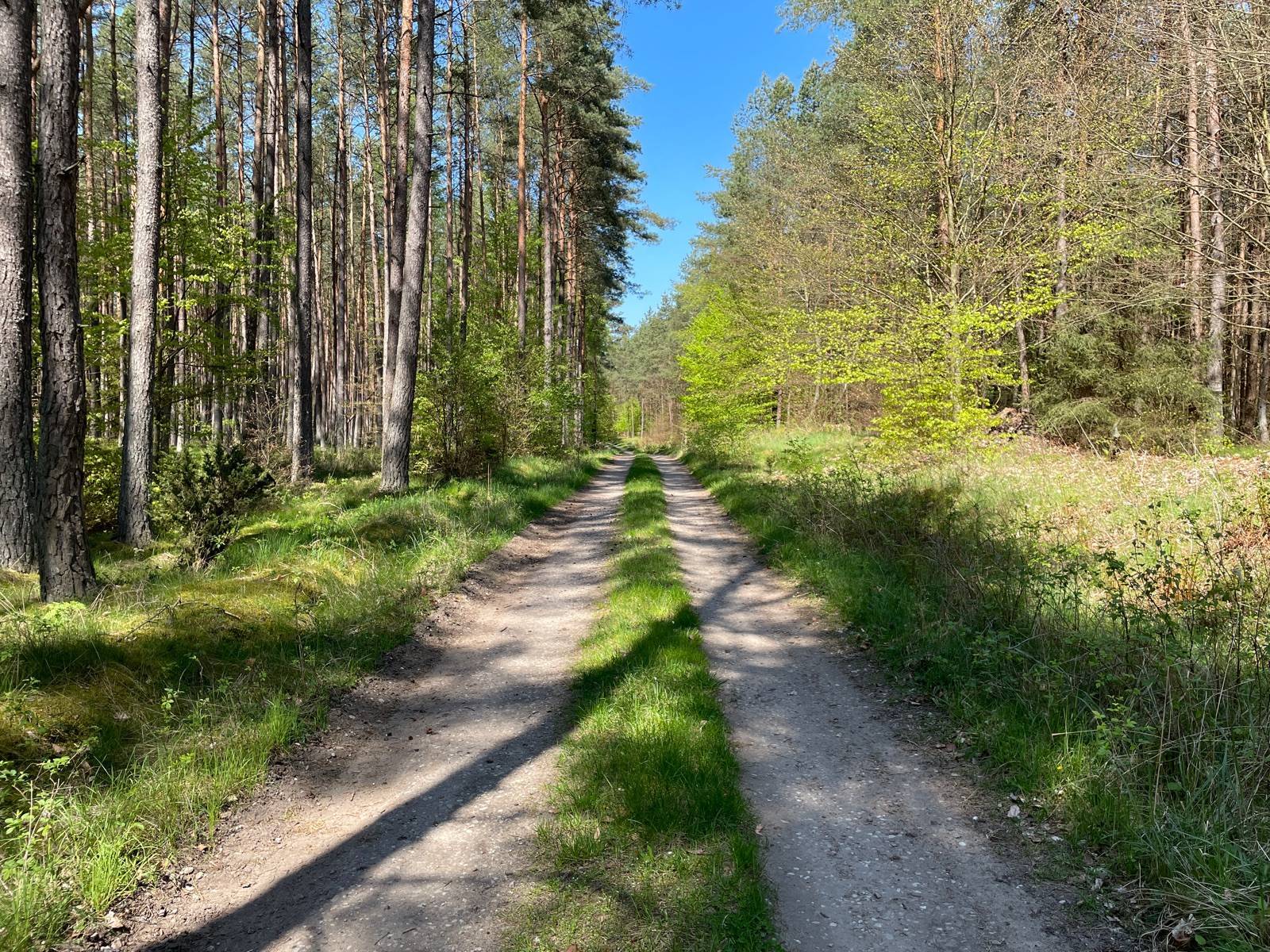 Zdjęcie 5