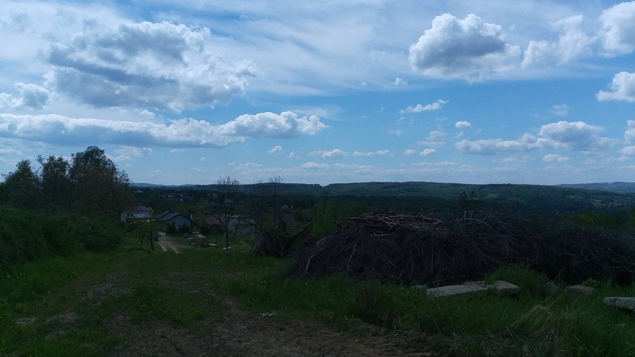 Zdjęcie 5