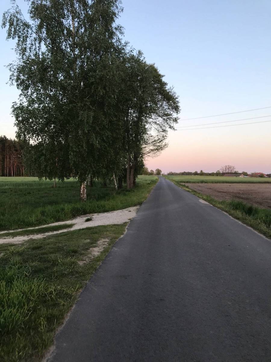 Zdjęcie 3