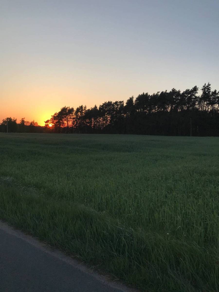 Zdjęcie 5