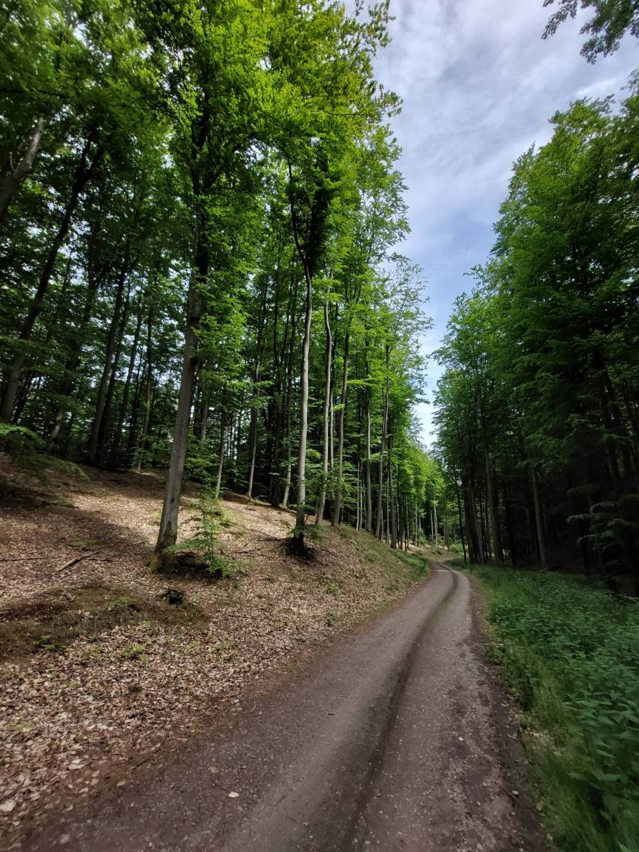 Zdjęcie 4