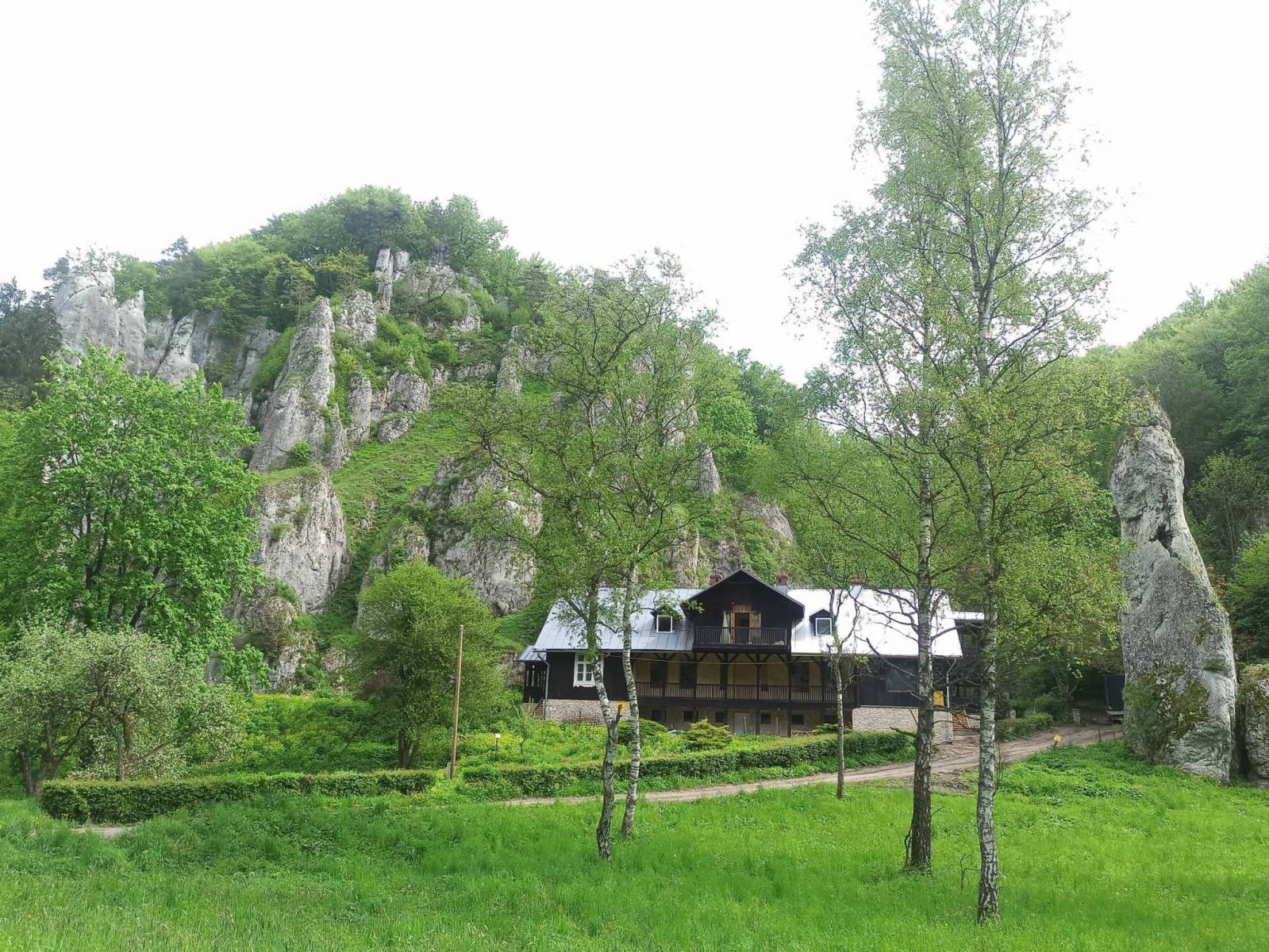Zdjęcie 6