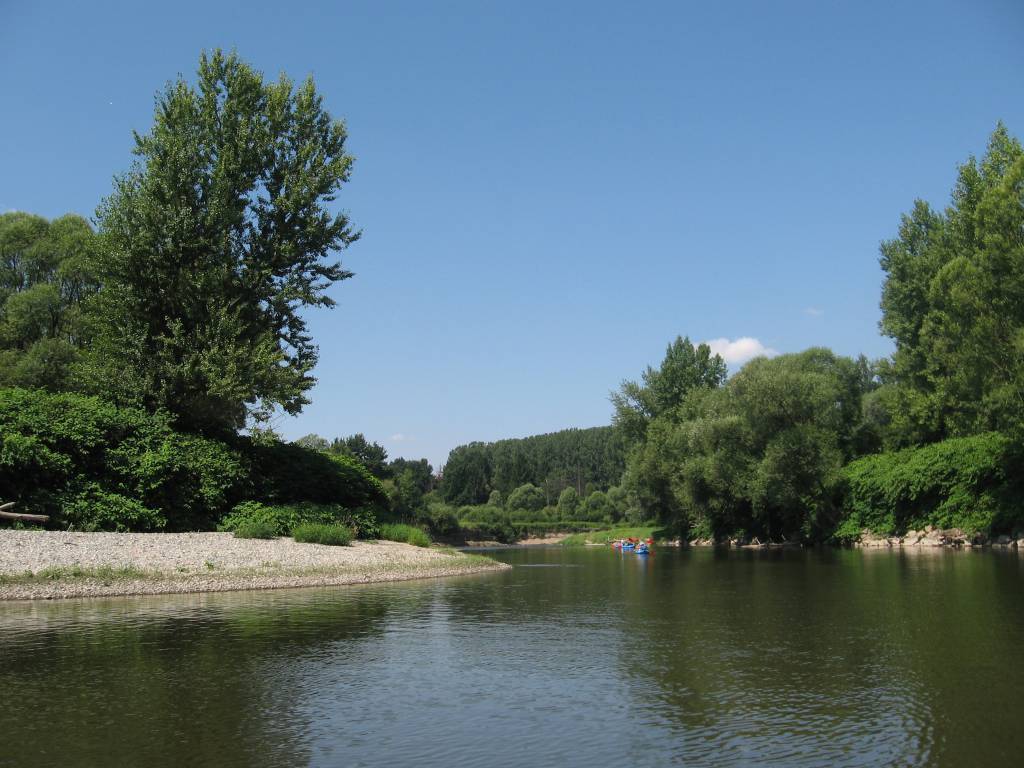 Zdjęcie 2