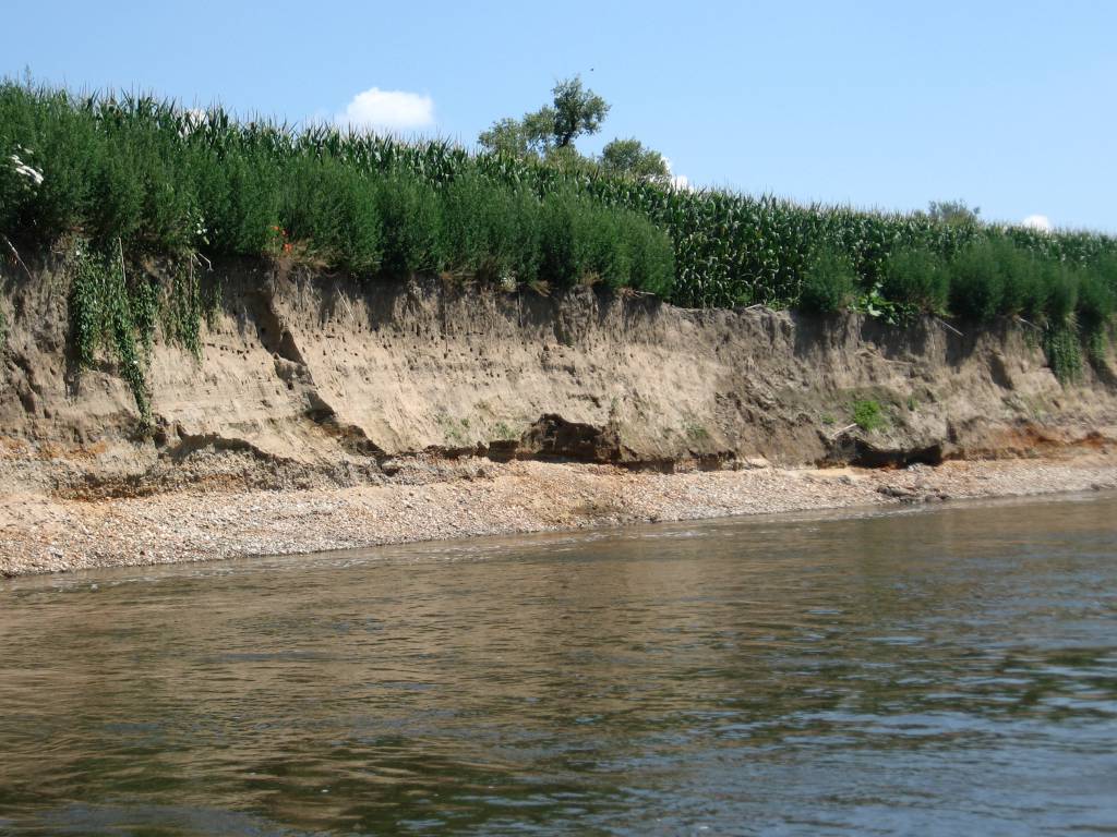 Zdjęcie 5