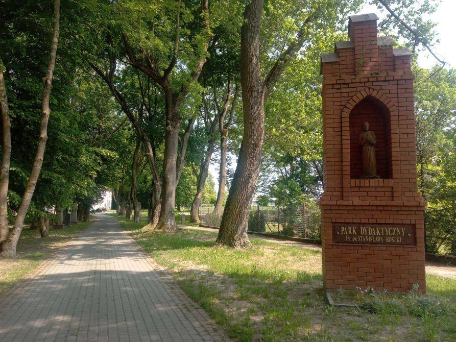 Zdjęcie 6