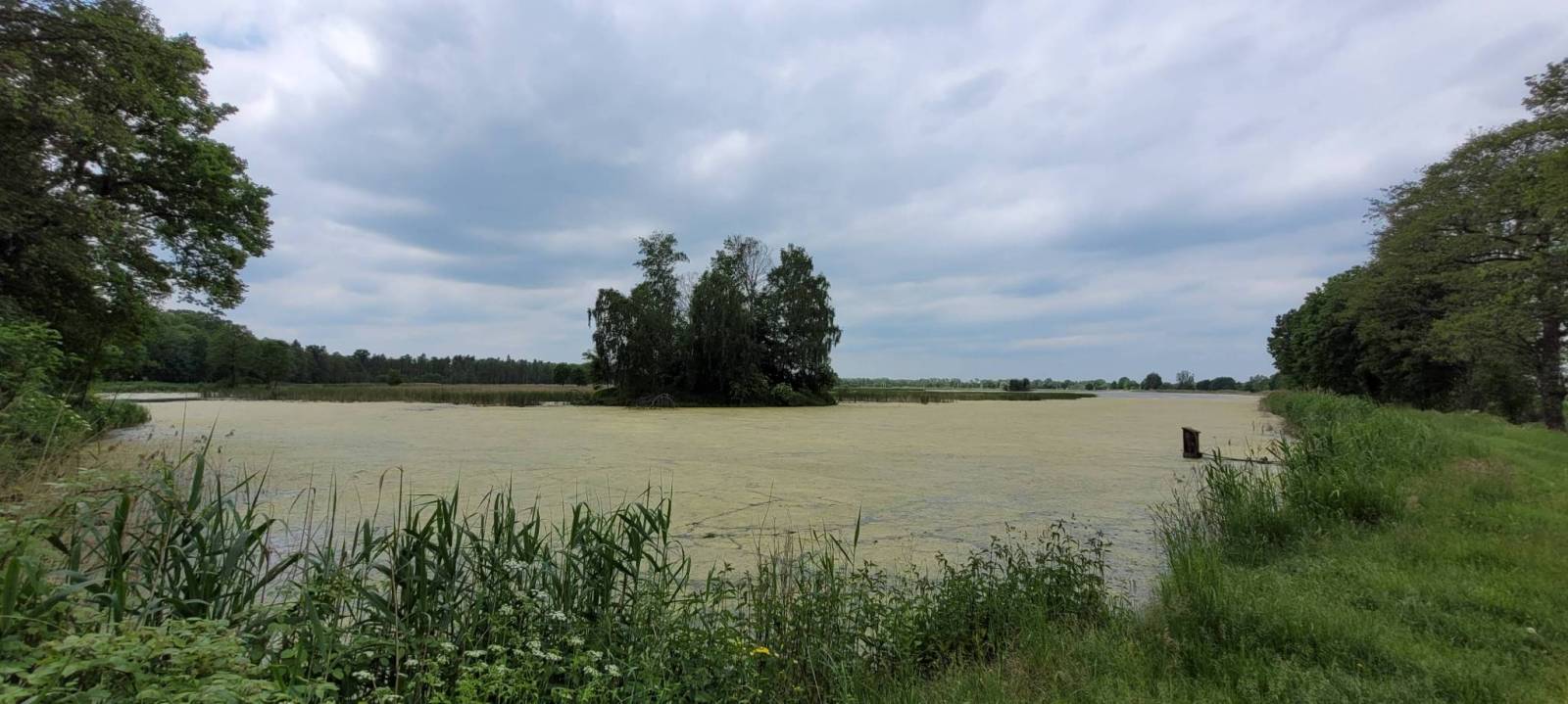 Zdjęcie 4