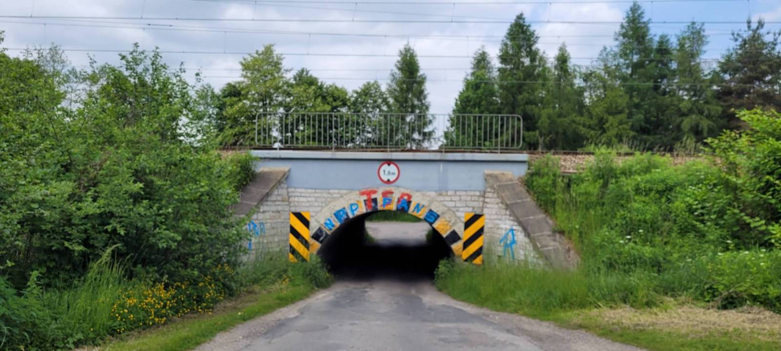Zdjęcie 6