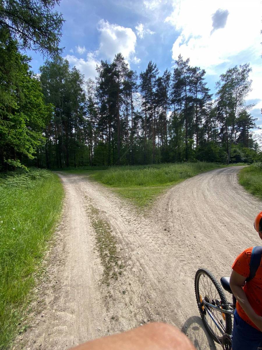 Zdjęcie 5