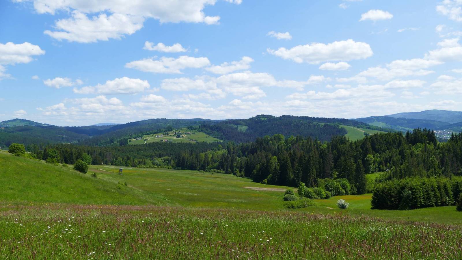 Zdjęcie 6