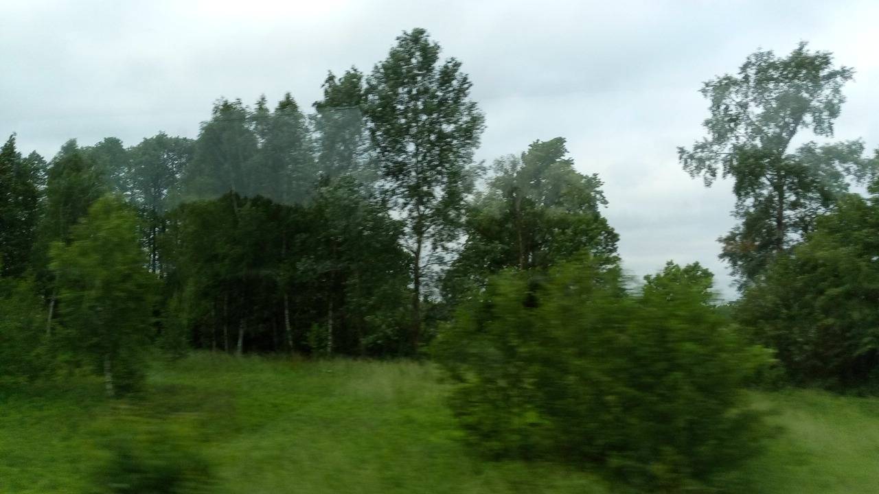 Zdjęcie 2