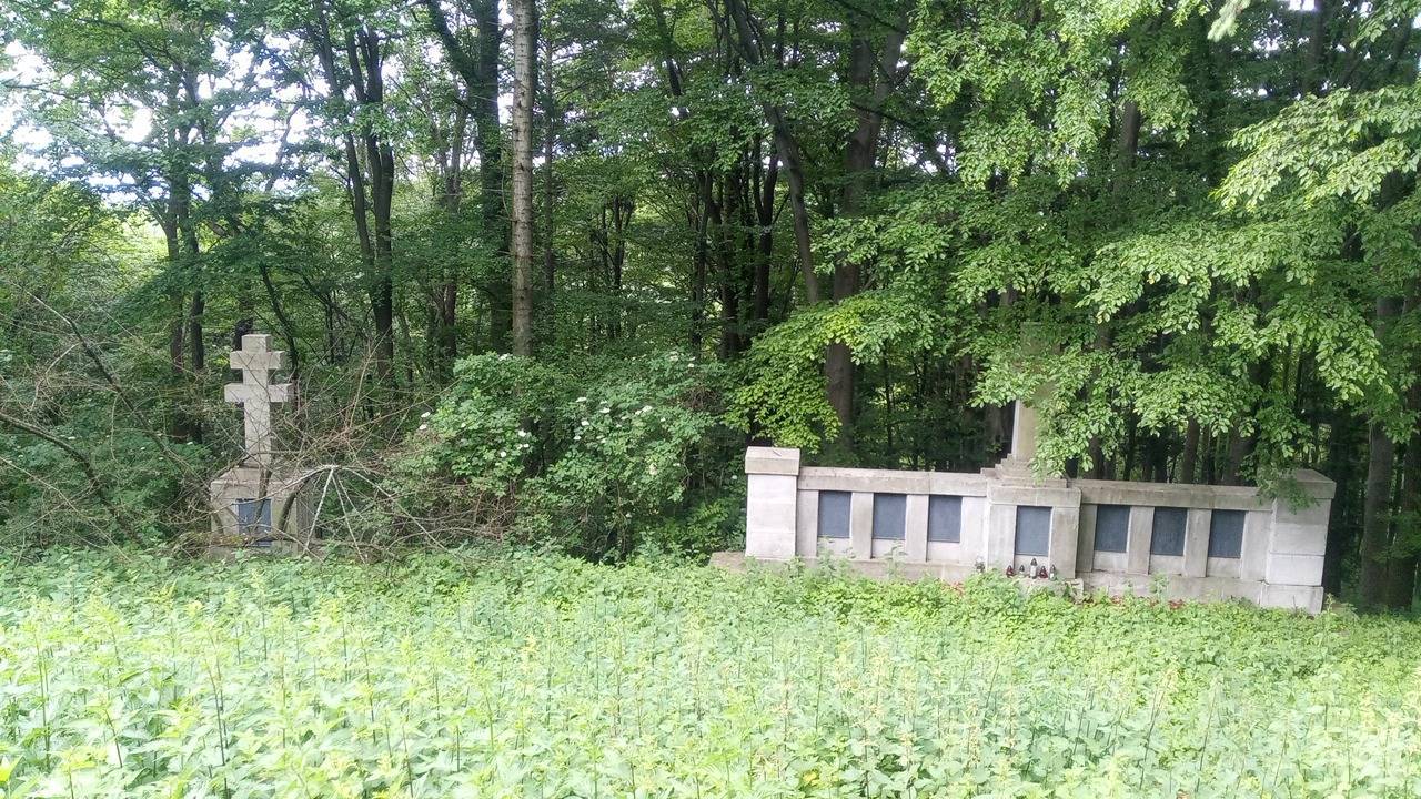 Zdjęcie 5