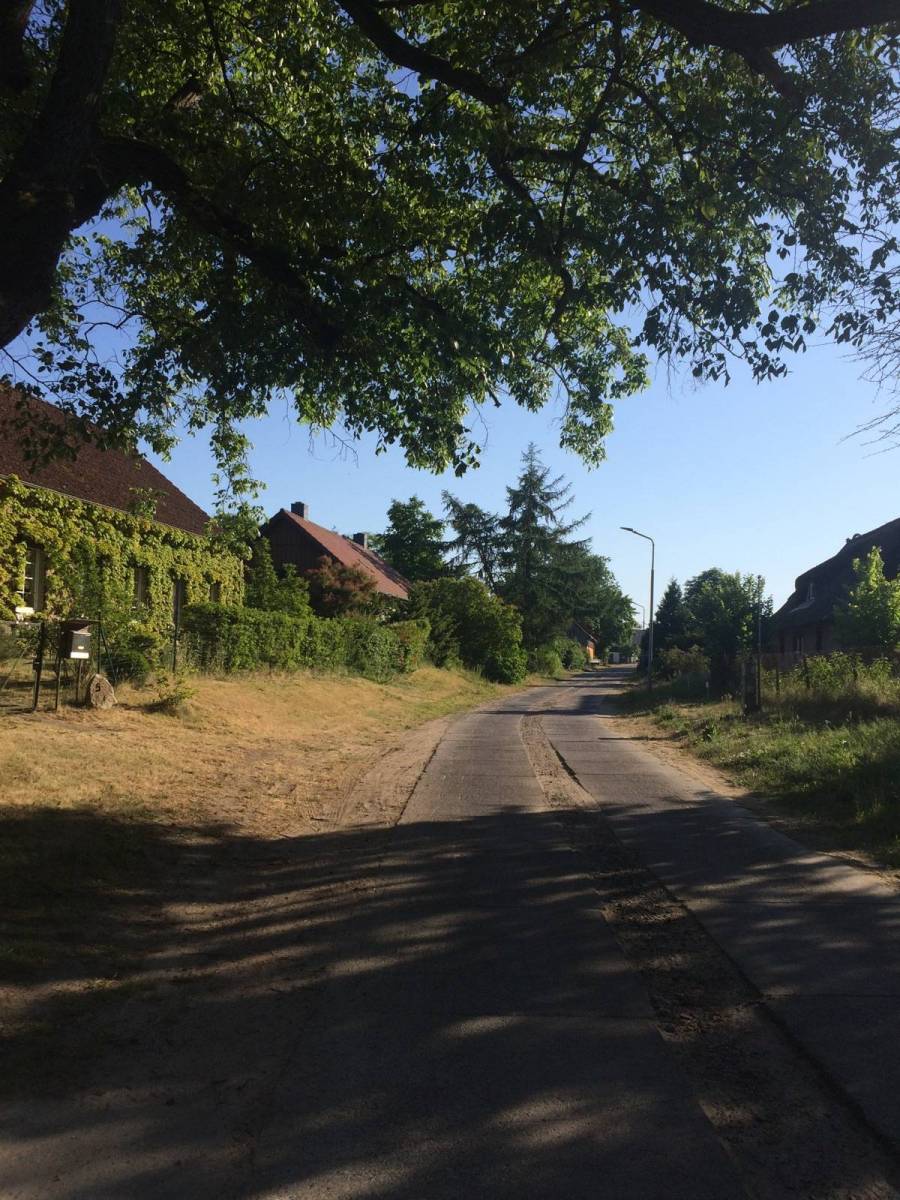 Zdjęcie 2