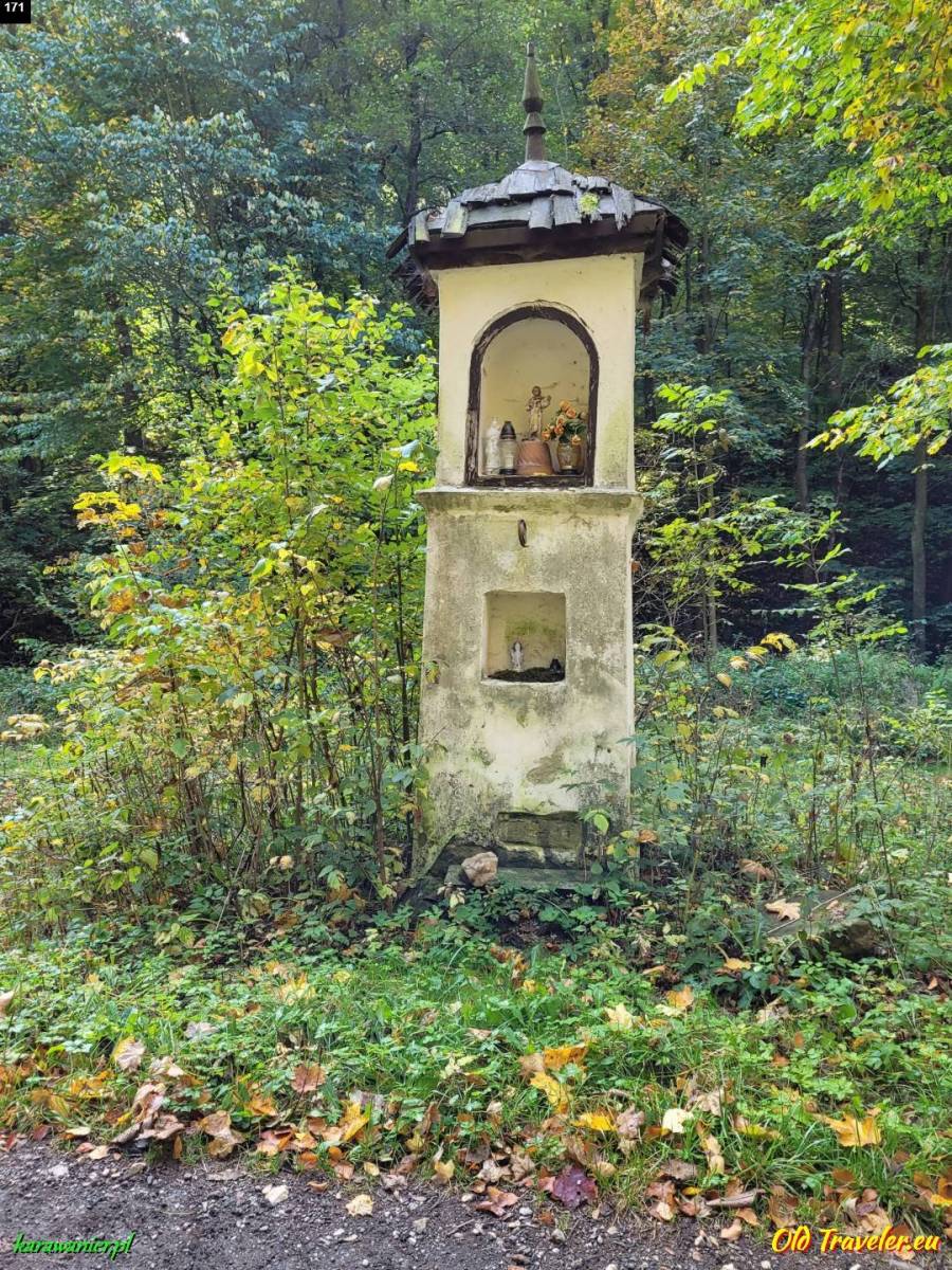Zdjęcie 5