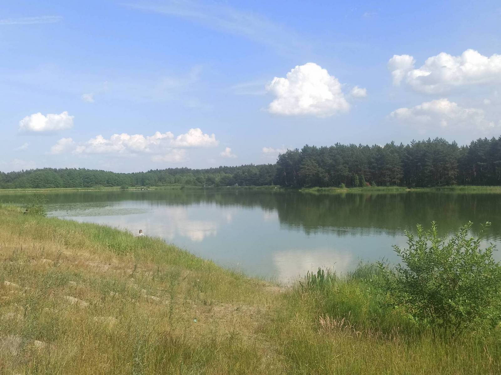 Zdjęcie 6