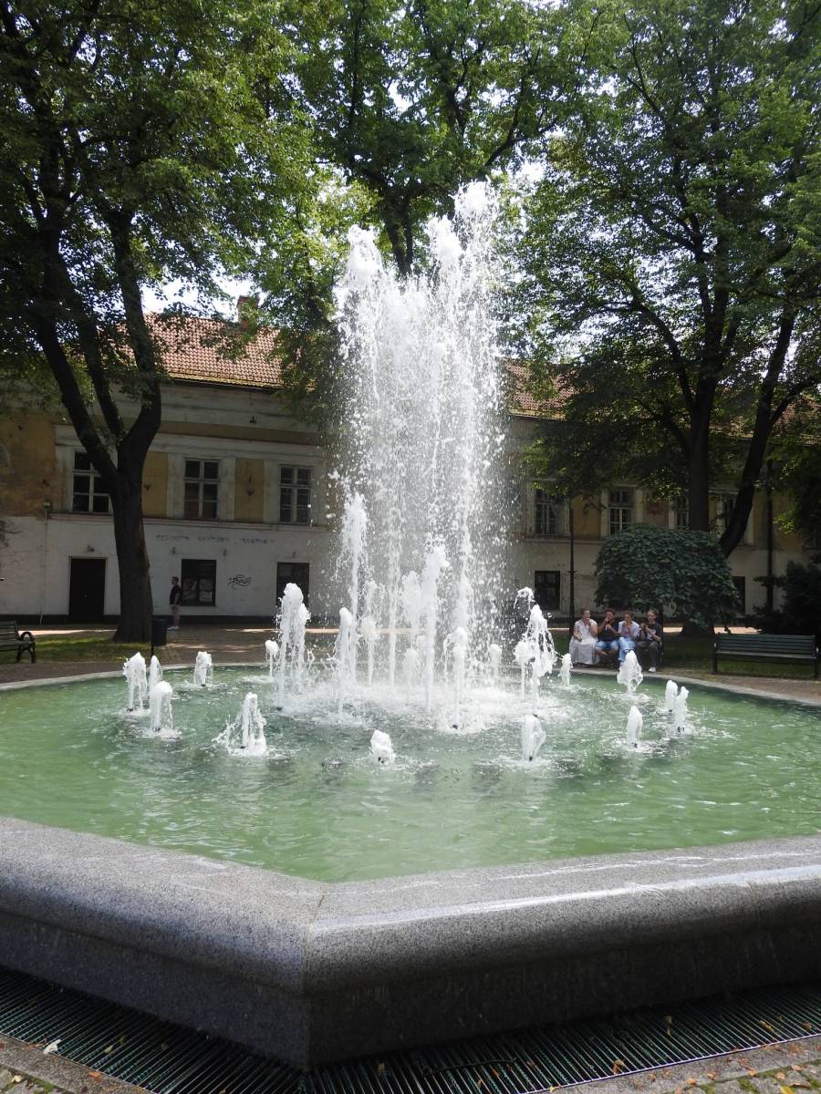 Zdjęcie 2