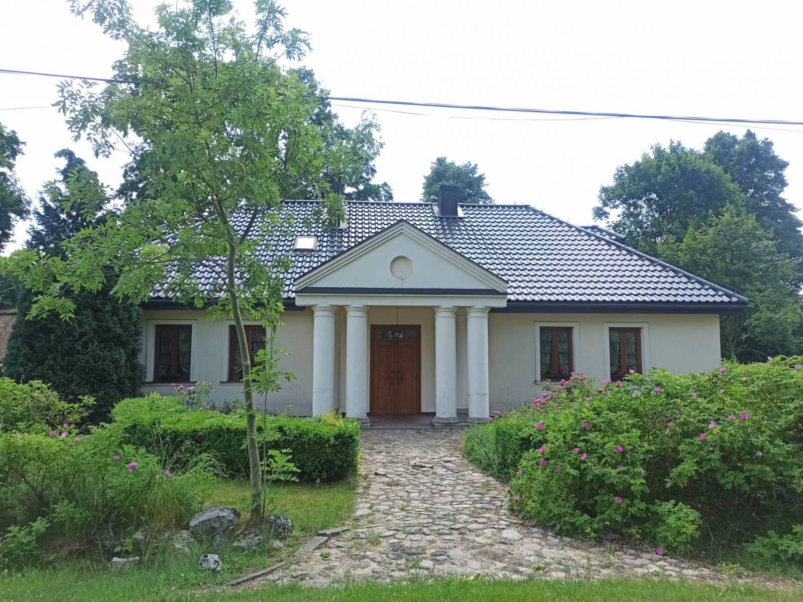 Zdjęcie 6
