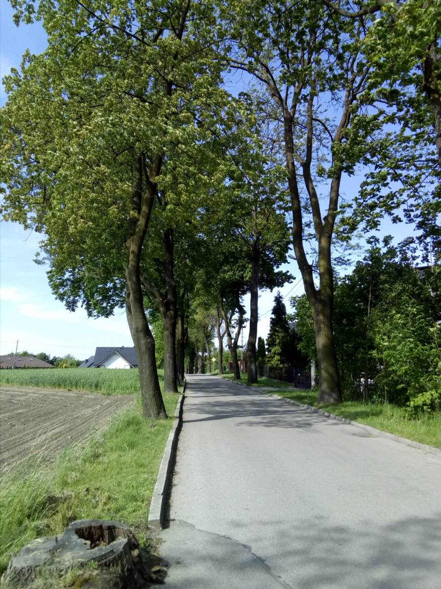 Zdjęcie 3