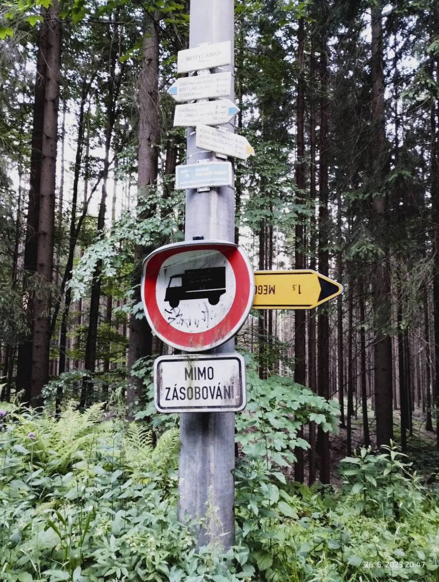 Zdjęcie 6