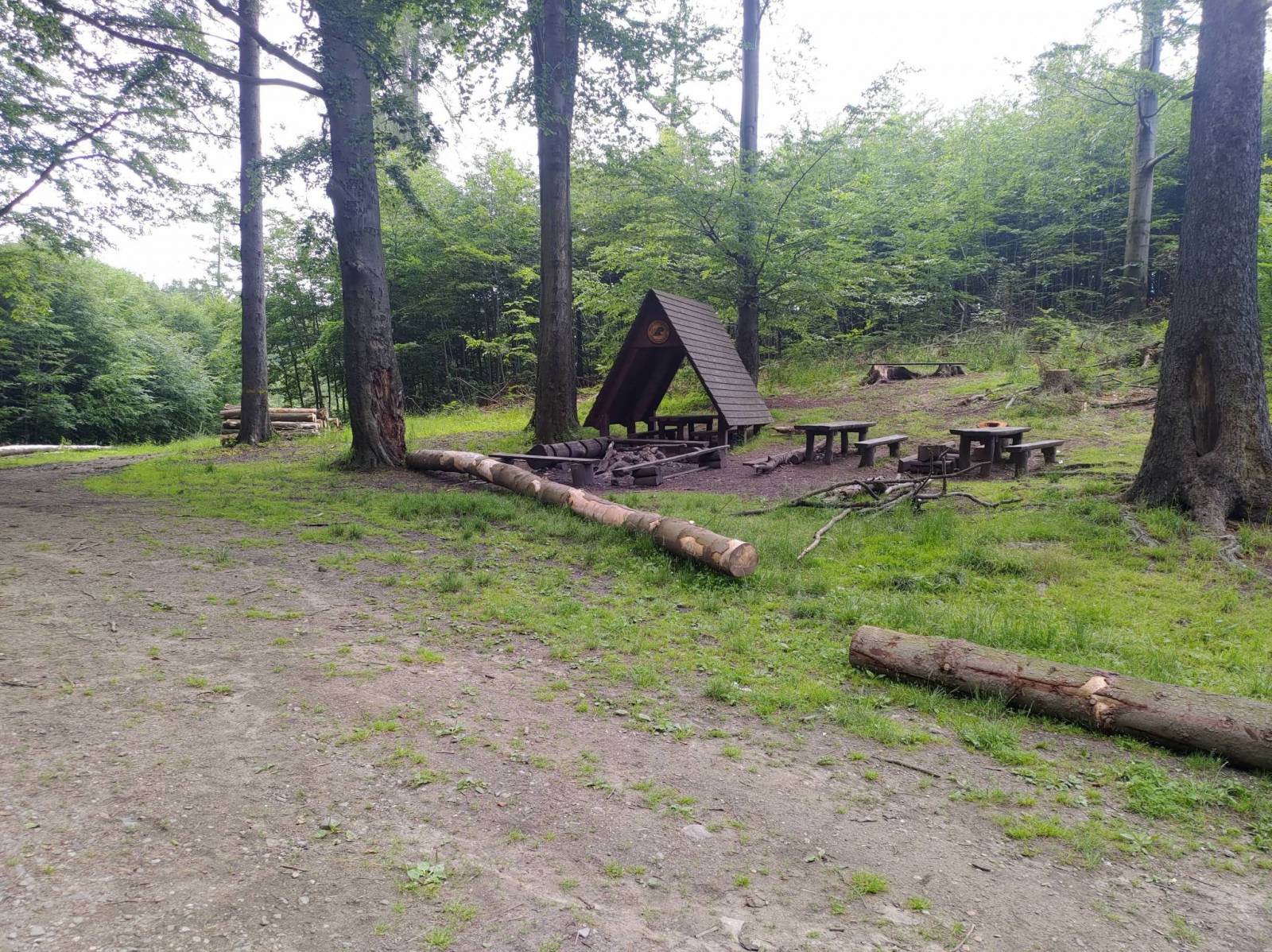 Zdjęcie 3