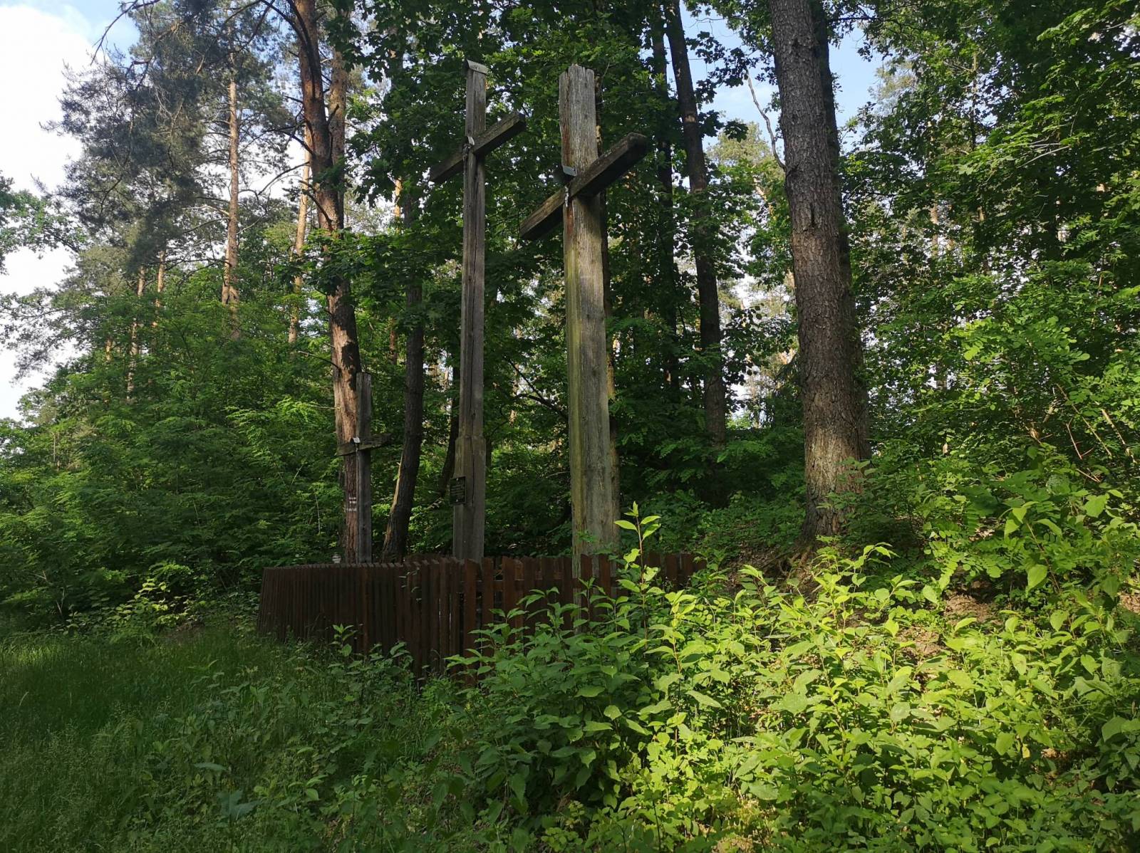 Zdjęcie 6