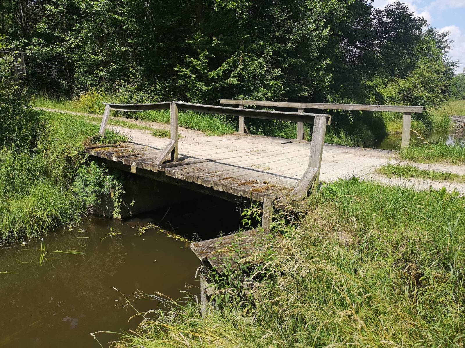 Zdjęcie 6