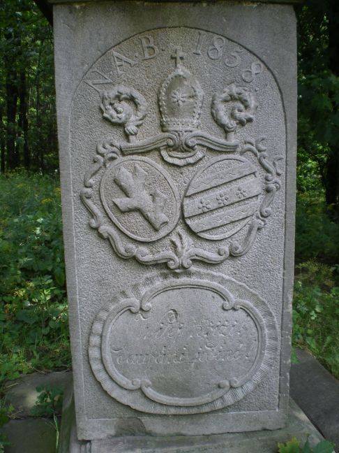 Zdjęcie 6