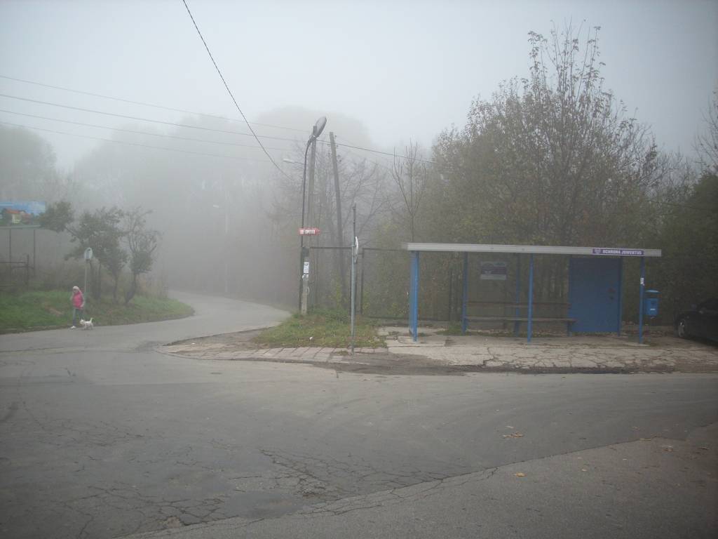 Zdjęcie 3