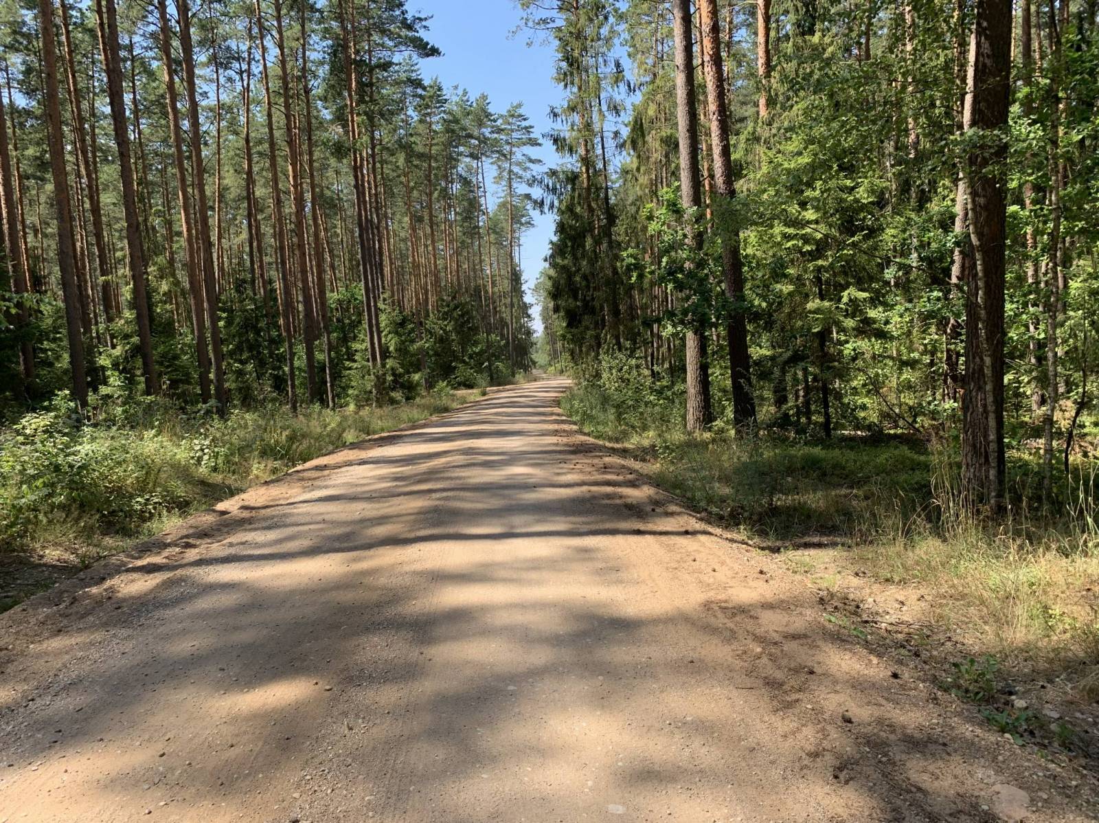Zdjęcie 6